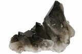 Dark Smoky Quartz Crystal Cluster - Brazil #104097-1